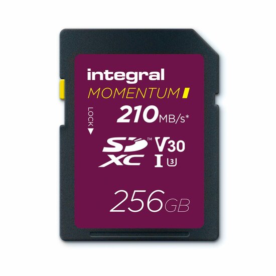 SDXC MOMENTUM I 256GB 210 MB/sec